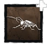 Jewel Beetle icon